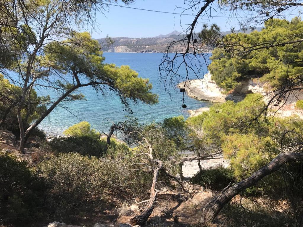 Vana Kavos Agia Marina (Aegina) Exterior foto